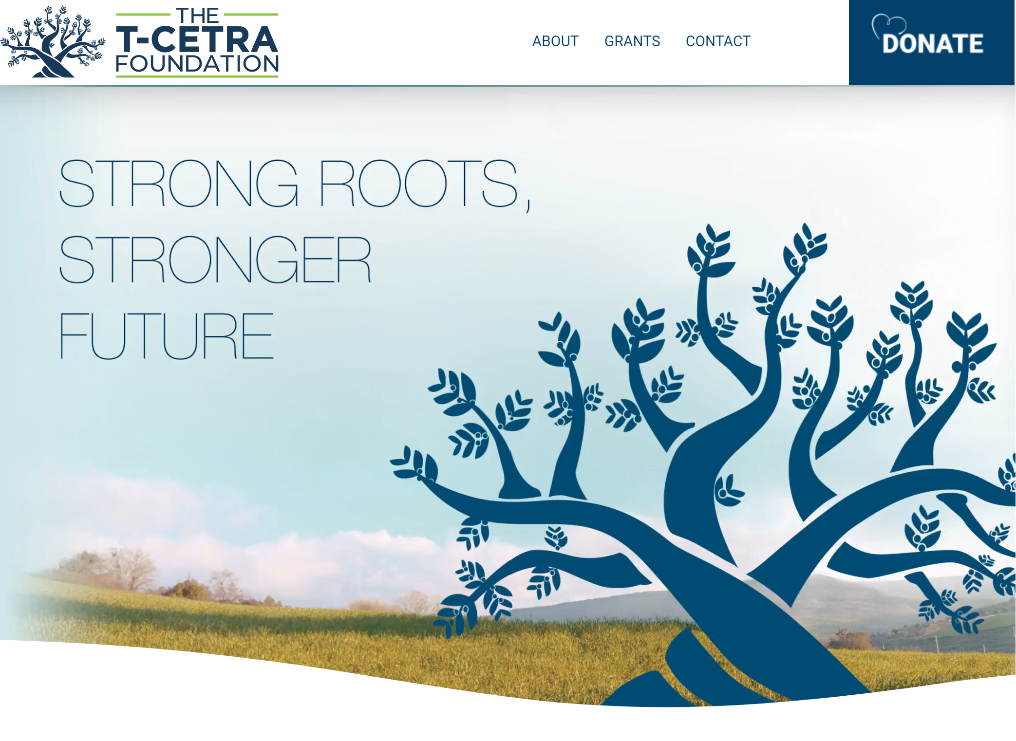 The T-CETRA Foundation